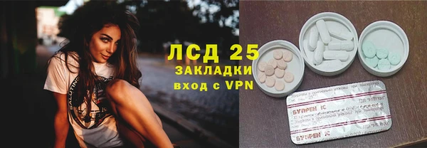шишки Баксан