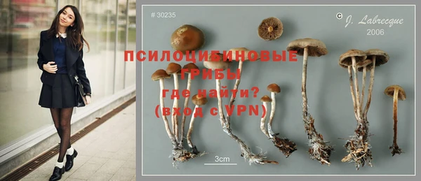 шишки Баксан