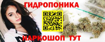 apvp Ярославль