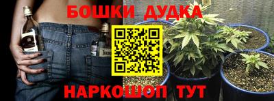 apvp Ярославль