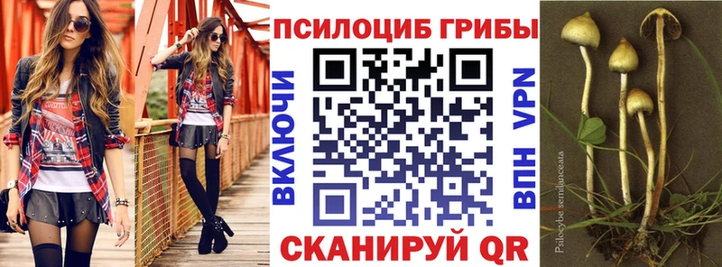 Псилоцибиновые грибы Magic Shrooms  Белово 